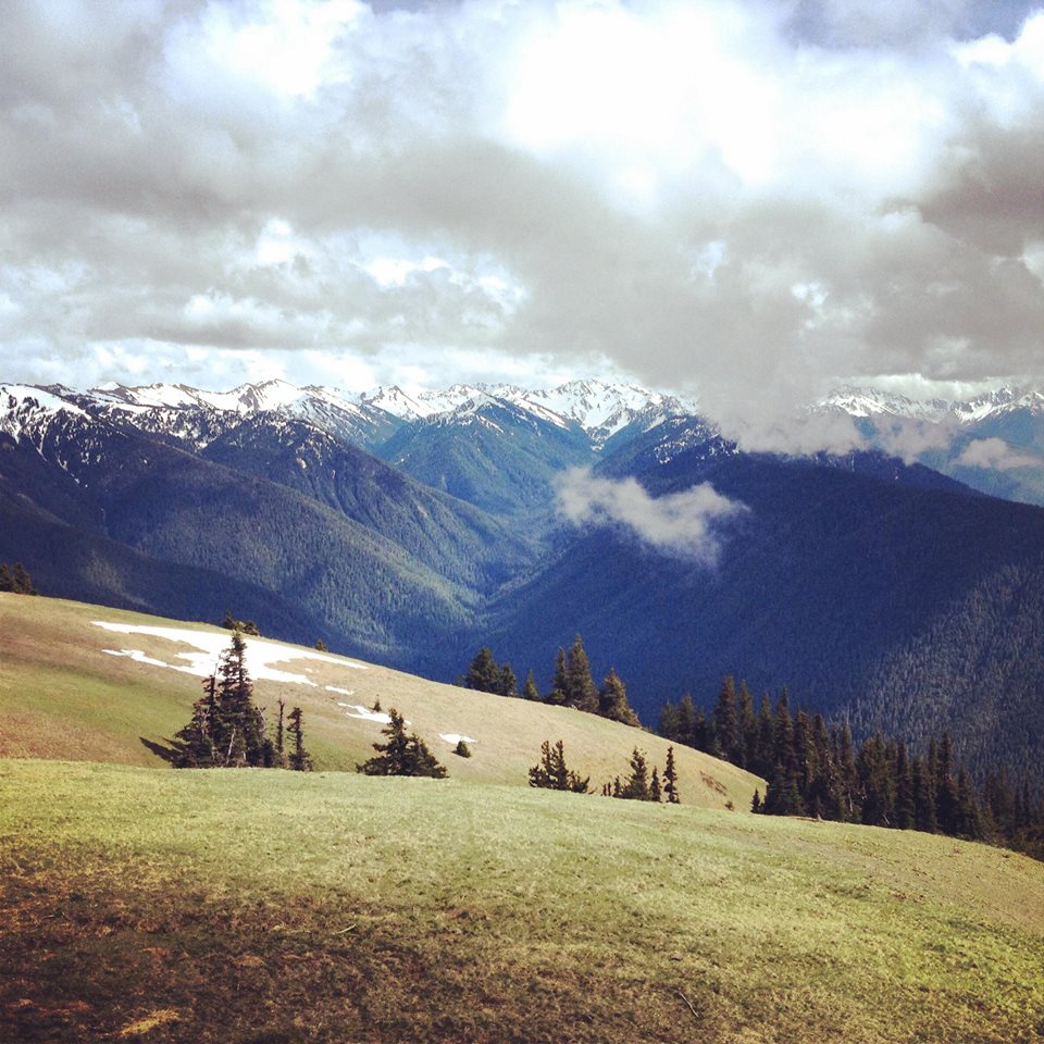 oly_adventures's tweet photo. You can't beat the views from #HurricaneRidge in the summer. #olyadventures #PNW #travel #hiking #sightseeing #nature https://t.co/2C7wK8iZjM