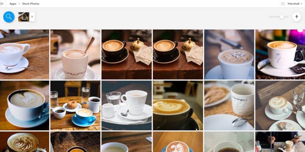 clarifai's tweet photo. Tutorial: When words are often not enough to find exactly what you're looking for, search by using an image https://t.co/vZM8NEJX0g #visualsimilarity #API https://t.co/LhDiCNfPur