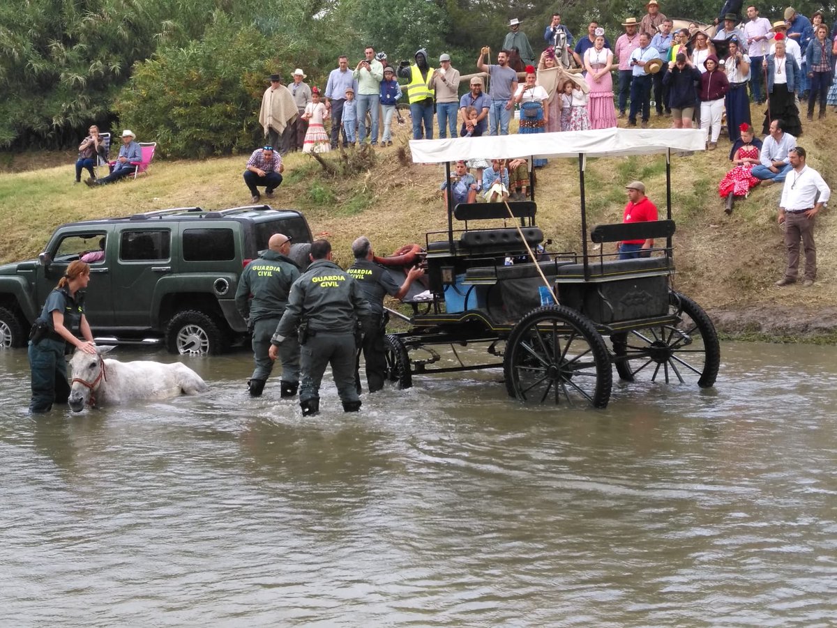 guardiacivil's tweet photo. A veces no son personas lo que rescatamos...los compañeros del #SEPRONA han rescatado a este mulo desvanecido camino del #Rocio2018 en el vado del Quema,

#ParaServirYProteger...sin distinción de especies

https://t.co/XwQ4qVDel3 https://t.co/gPARJMRkhv