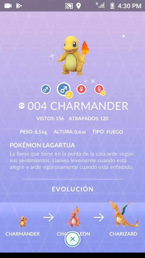 Aoba2906's tweet photo. #HolaNiantic #GoHubPeru
Pude conseguir dos charmander shiny q alegría :) https://t.co/MMehhksPdE