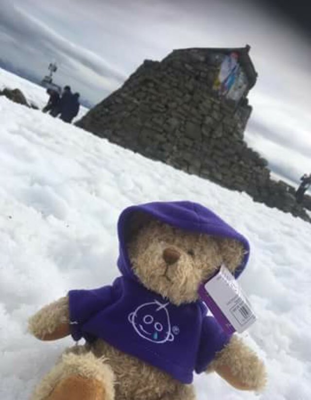 Bernard bear out on more adventures today on Ben Nevis with robbie our linen porter # gosh#adventures#bennevis#fortwilliam <a href="/CatherineSmi2/">Catherine smith</a> <a href="/pi_fortwilliam/">Premier Inn</a> <a href="/jamclp/">Julie Forsyth</a> <a href="/AndyFr4ncis/">AndyFr4ncis</a>