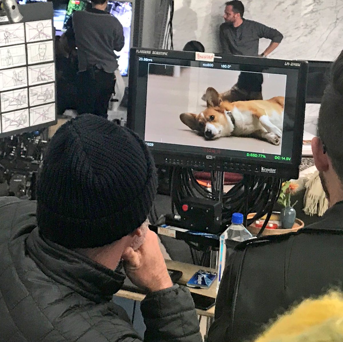 PoorCorgiActor's tweet image. Ohhh goodness... just did a script reading for our new commercial! We Film Thursday! This is gonna be great for dogs, n really great for Corgis! More acting in this than projects we’ve done before! Full team of trainers #tooFun #corgis #family #topSecret #K9Actors #MeetOliver