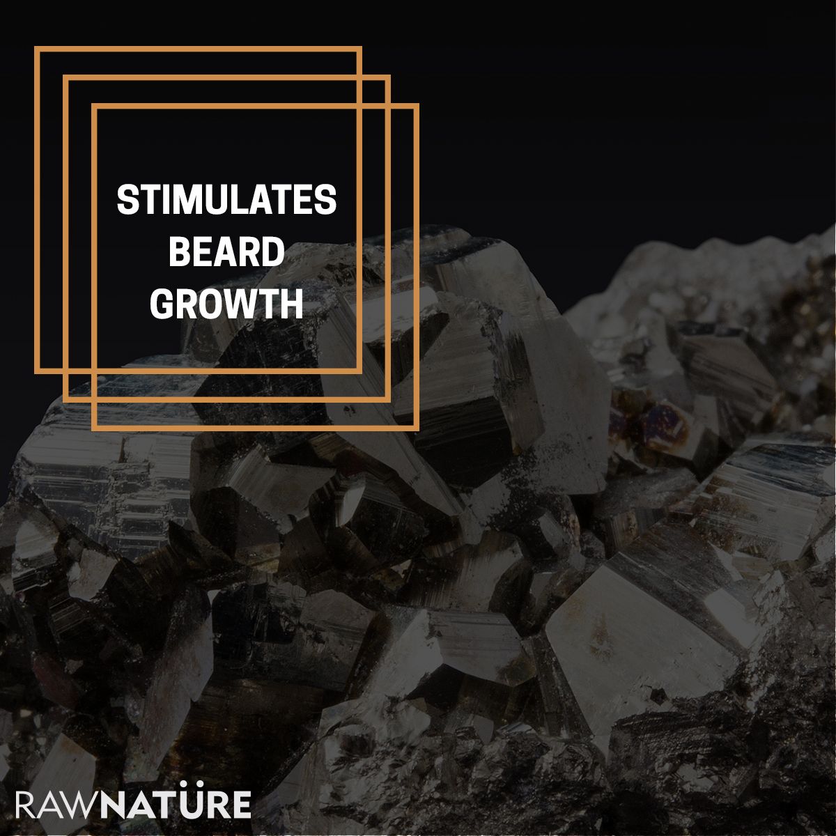 Raw Nature tweet media