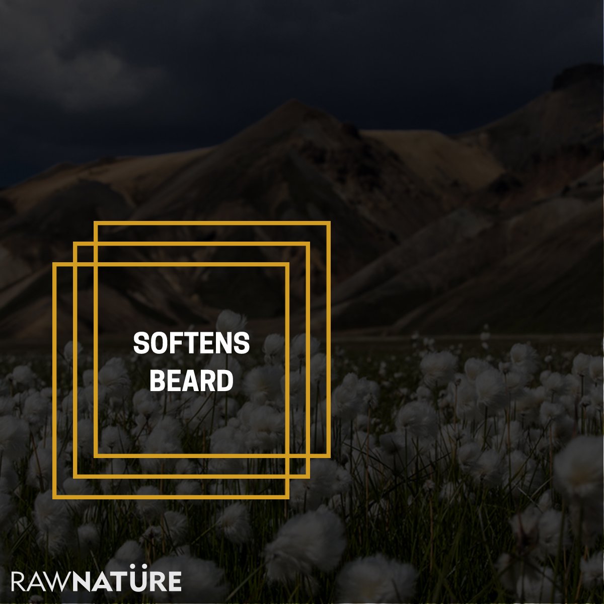 Raw Nature tweet media