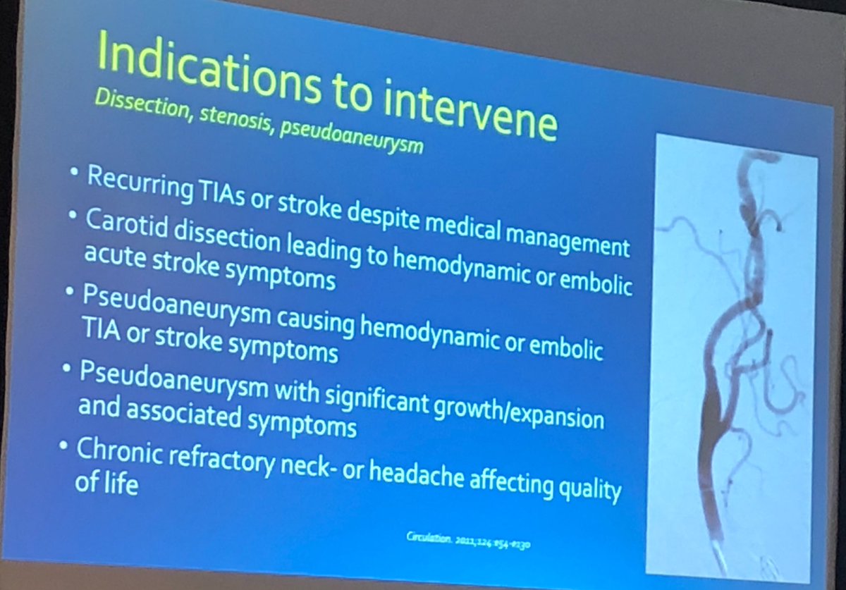 heatherlgornik's tweet photo. .@GaborTothMD reviews indications for interventional Rx for cervical artery dissection, though most are treated medically @FMDartery https://t.co/hToexYVC36
