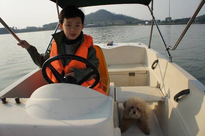 leuvlys's tweet photo. cute qaq 🐶🐶🐶🐶 https://t.co/DNBlcfBKkC
