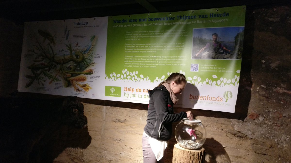 bosw8erthijmen's tweet photo. Help je mee? We zijn vandaag gestart met een #Crowdfunding voor een super gaaf project in @DeBastei Graag willen we een groot aquarium voor mensen die niet de natuur in kunnen maar toch een kijkje willen nemen onderwater. @buitenfonds https://t.co/JndyeL7xBz https://t.co/dCcqavmCLg
