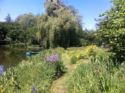 DavidMarshN19's tweet photo. Wondered why there were only 2 people visiting the garden this morning - being FRench everyone else was watching a foreign wedding but this pm lots of nice comments from lots of nice people - so its all been worthwhile https://t.co/3i1rutHwrg