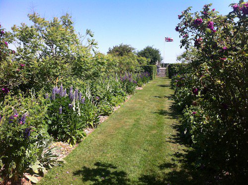 DavidMarshN19's tweet photo. Wondered why there were only 2 people visiting the garden this morning - being FRench everyone else was watching a foreign wedding but this pm lots of nice comments from lots of nice people - so its all been worthwhile https://t.co/3i1rutHwrg