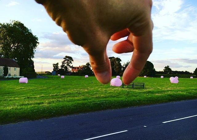lamlacvolac's tweet photo. "The local marshmallows fields almost ready for picking" 😍😂😍😂 Photo credit - @kinnairdandrew #pinkbales #wrappink https://t.co/fzp77doiA8
