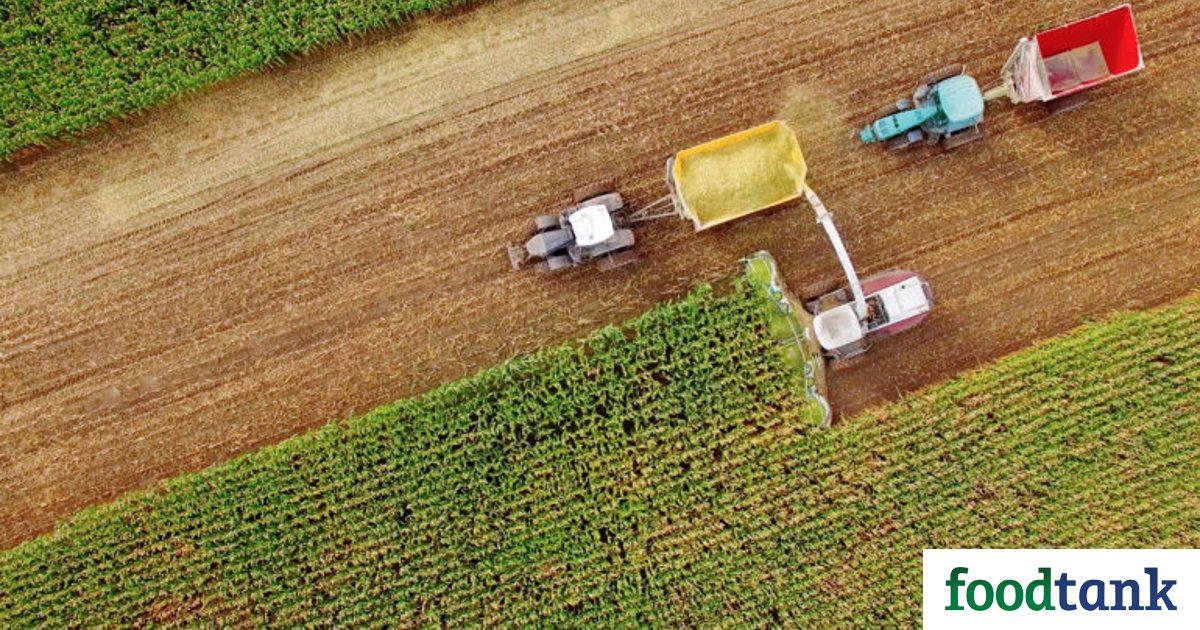 AgFunder's tweet photo. Agriculture’s Silicon Valley Hopes to Attract Entrepreneurs Addressing the Food System https://t.co/5axJs3bmm5 #AgTech #Entrepreneurship https://t.co/ZHRZWyvjhZ