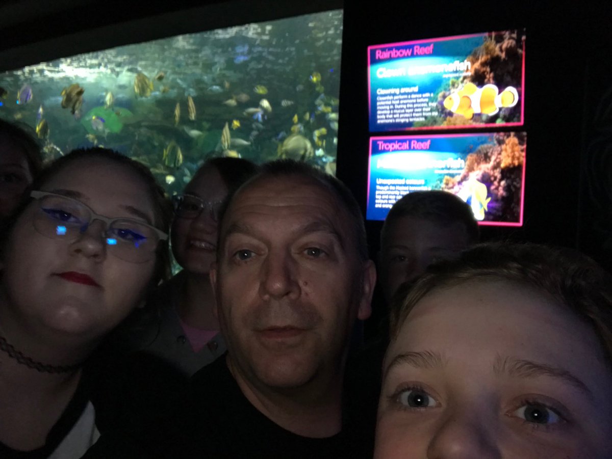 hawkdh's tweet photo. WMS culture tour 1st stop Ripley’s aquarium. #lovingtoronto https://t.co/W79mJw5uwd