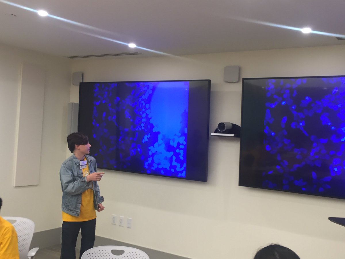 CASE_Carnegie's tweet image. Students present on the field trip to the @GWCancer Center and the #DAPI staining process! @carnegiescience @DCSTEMNetwork #STEMinDC #FirstLight