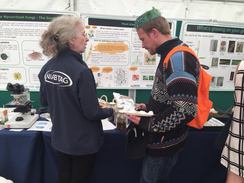 InnovationHub1's tweet image. Great day @CUBotanicGarden today #cambridge #festivalofplants on the NIAB stand. @NIABTAG @entomics