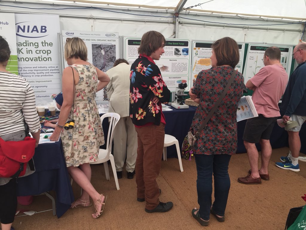 InnovationHub1's tweet image. Great day @CUBotanicGarden today #cambridge #festivalofplants on the NIAB stand. @NIABTAG @entomics