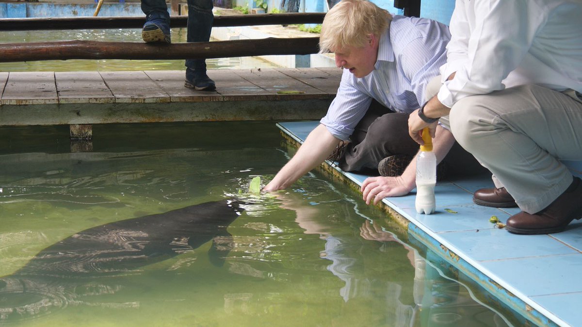 UKinPeru's tweet photo. The Peruvian Amazon is rich in biodiversity🌱 and home to endangered species 🐾. Peru has announced that it will join the London Declaration on the illegal wildlife trade and will be sending a high-level delegation to the London Conference in October  🇵🇪🇬🇧 #endwildlifecrime https://t.co/heEC8bZpZD