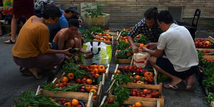 Limportant_fr's tweet photo. Contrairement aux idées reçues: manger sain et local n'est pas forcément plus cher https://t.co/eXcL814whF #Planète https://t.co/vVWM1Makcf