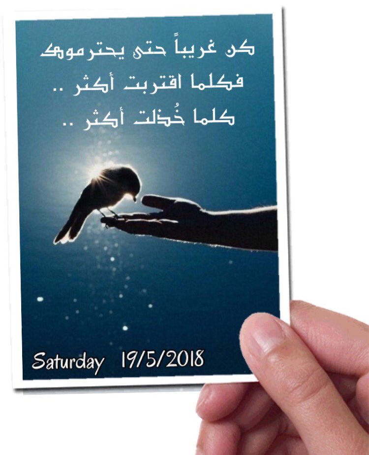 7looo_kalam69's tweet photo. مساء الخير .. https://t.co/Jfv88kKMiV