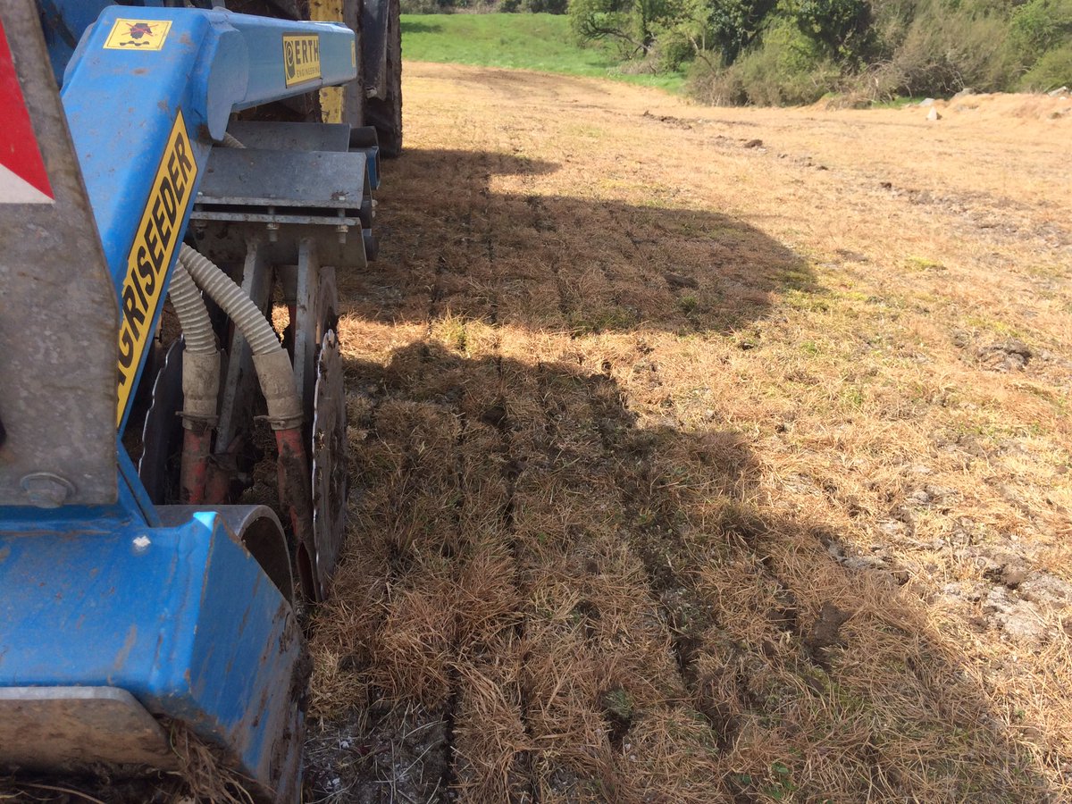Cracking day for some direct reseeding #AgriSeeder