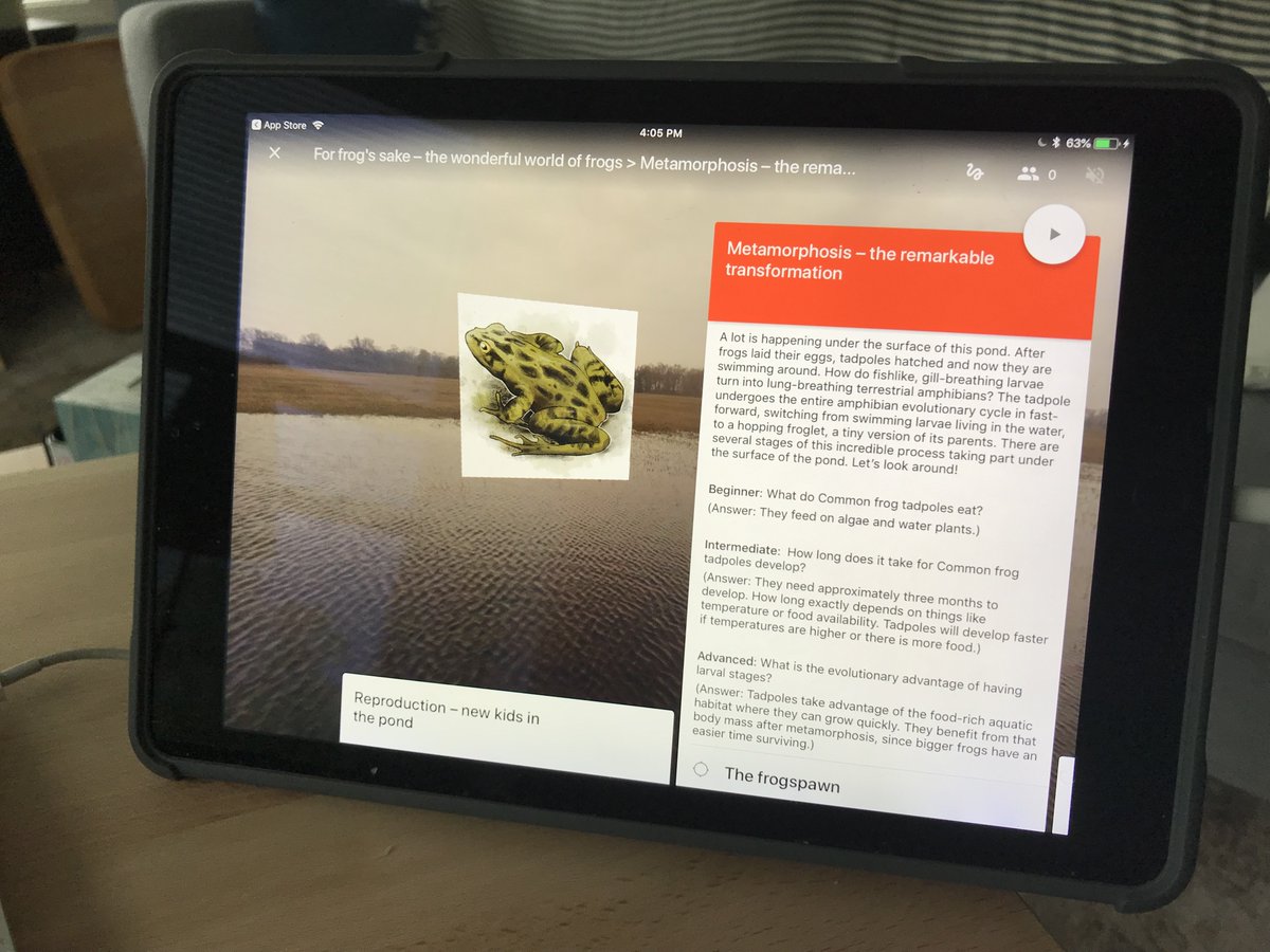 Mx. Maggi Rohde (they/them) 📕 tweet media