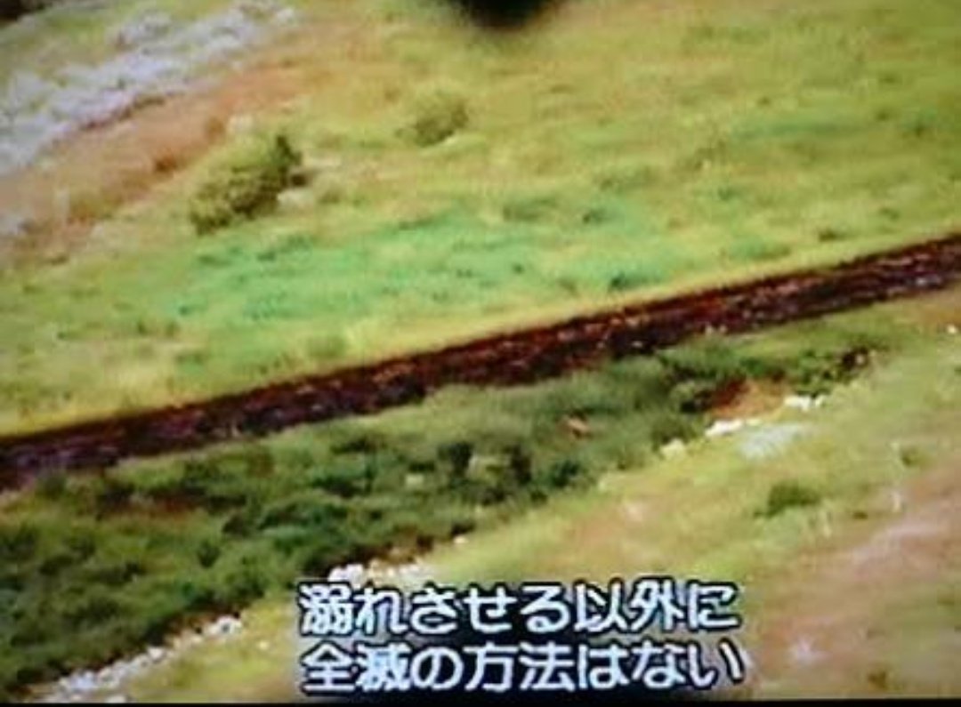 世界の怪獣 怪人 Twitterren マラブンタ 1954年の 黒い絨毯 に登場する人食い蟻 アマゾンの奥地に住み 数百年周期で集団移動をする マラブンタは移動する際 通り道にある動植物をことごとく喰いつくしてしまうおそるべき攻撃性 食欲を有する モデルは実在する