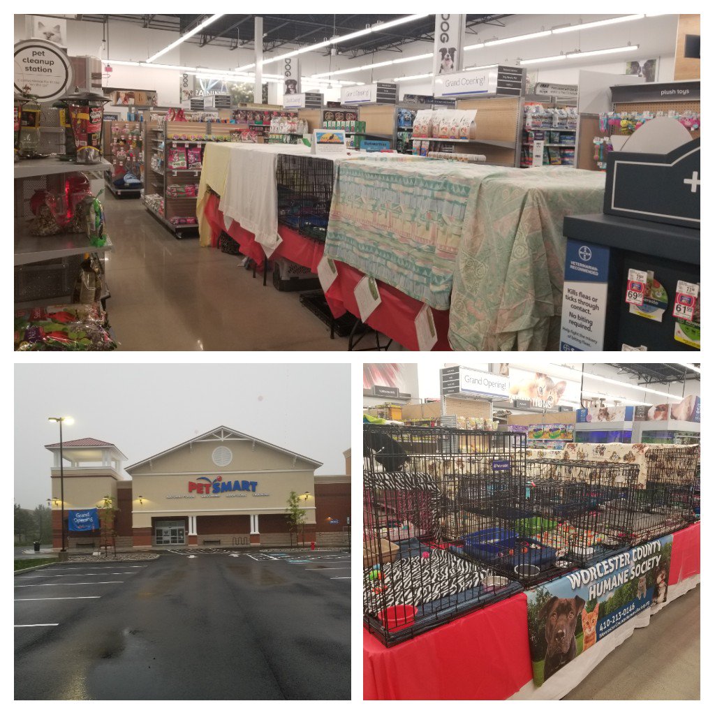Scooter2323's tweet photo. Grand Opening 3147 Berlin Md and #AdoptLove #NAW @EuryBrian @jasonmcatee_ECR @b1ebb08665cb46e @PetSmartAE https://t.co/1yI2lCxI7O