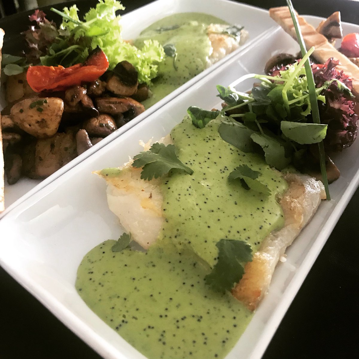 Ajiconpepas's tweet photo. Sugerencia del Chef, Merluza austral a la Huancaina de cilantro acompañada de zetas y papas nativas salteadas a la trufa en @nogarorestaurant felicitaciones @irsamartinez 👏👏👏 TREMENDO PLATO! https://t.co/c6bYxeTyNN