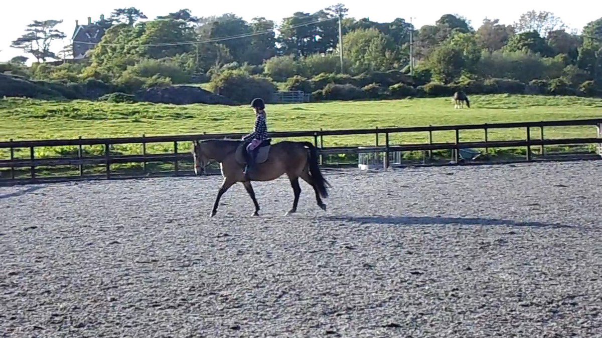 AEequestrian's tweet image. Emmy &amp;amp; Honey training yesterday. We are all very optimistic about the future for these two 🦄😎 #dressage #PonyHour #horsechathour #Horses