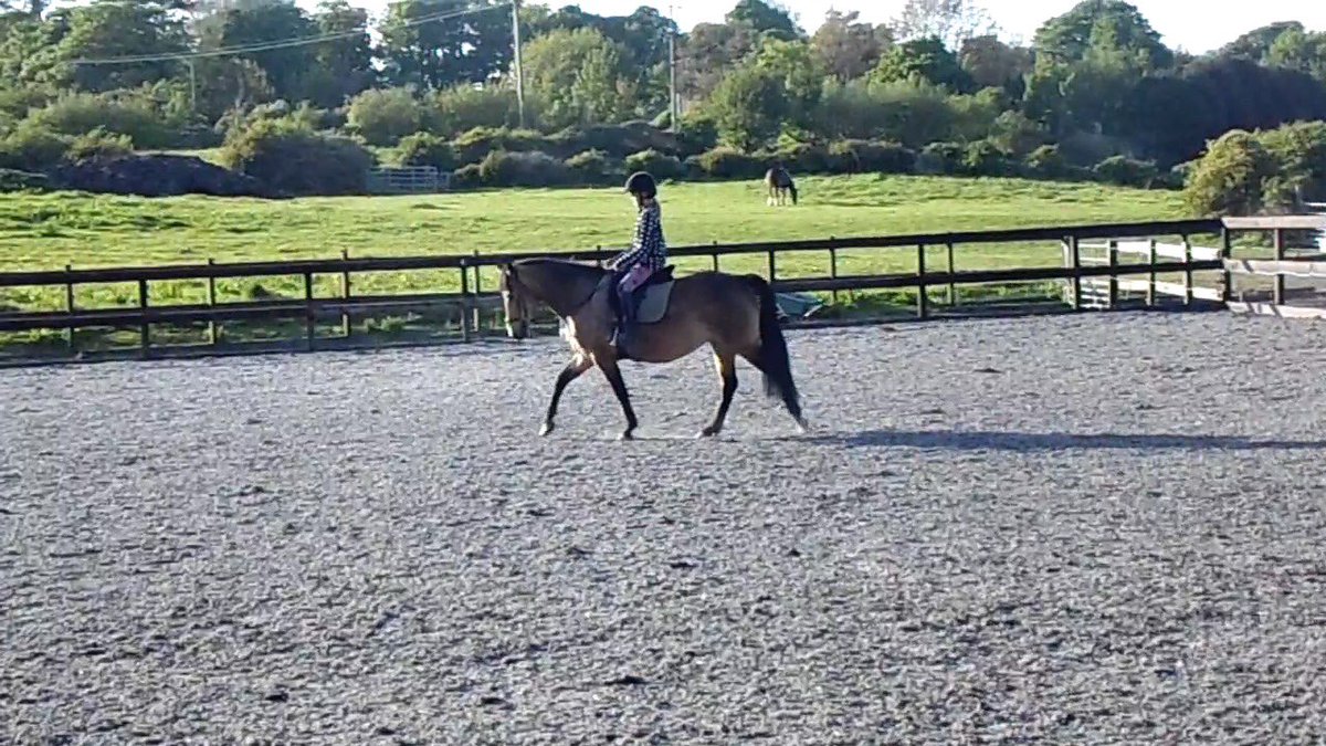AEequestrian's tweet image. Emmy &amp;amp; Honey training yesterday. We are all very optimistic about the future for these two 🦄😎 #dressage #PonyHour #horsechathour #Horses