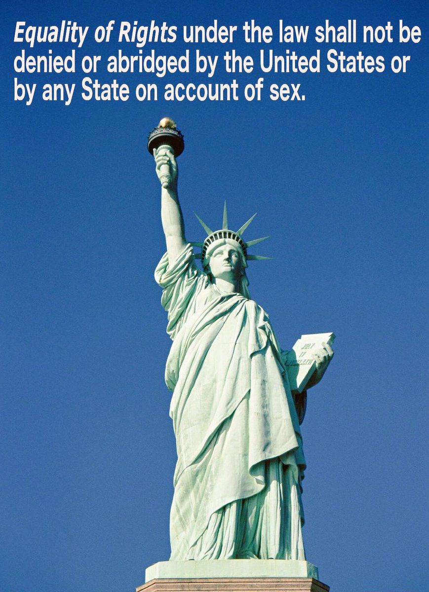 Sarabeth tweet media