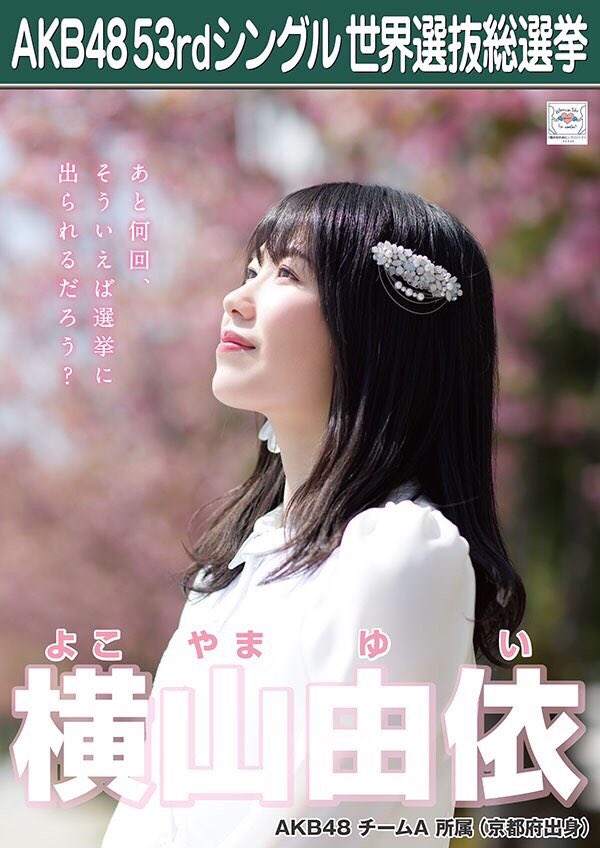 AKB48 - AKB48 53rdシングル世界選抜総選挙投票券×27枚 AKB48 53rdシングル世界選抜総選挙投票券×27枚（総選挙あるある -