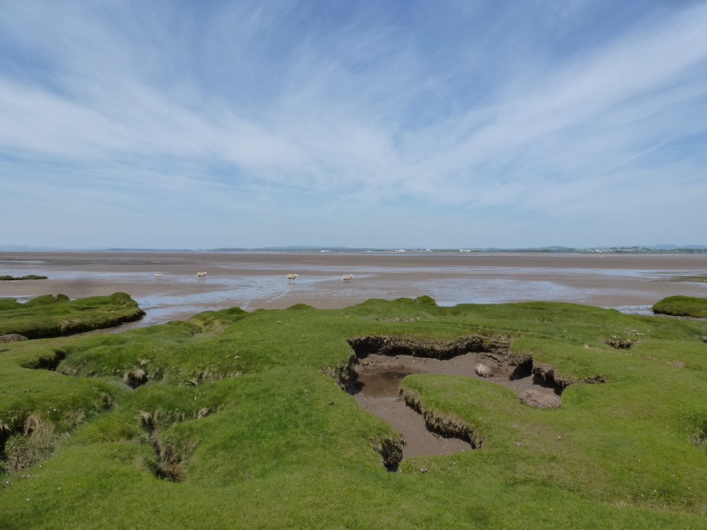 Solway_PhD's tweet photo. Spent an amazing day on the #solway developing my #creativewriting skills w @solwaywalker @cumbriawildlife and some #sheep https://t.co/KYHFpYEEgL