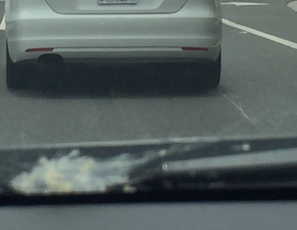 RealErinCruz's tweet photo. After my event, someone spit food onto my car #ProgressiveLeftHateAmerica
#FireDiFi https://t.co/0anra1jb1U https://t.co/FgmzkrQu3T