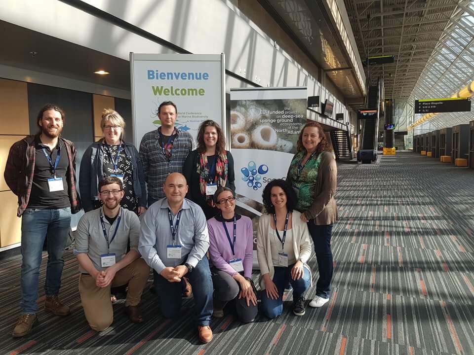 Joana Xavier tweet media