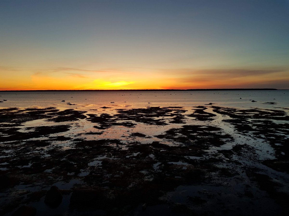 Joana Xavier tweet media