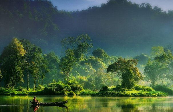 nature world (@nature_talks) / Posts / X
