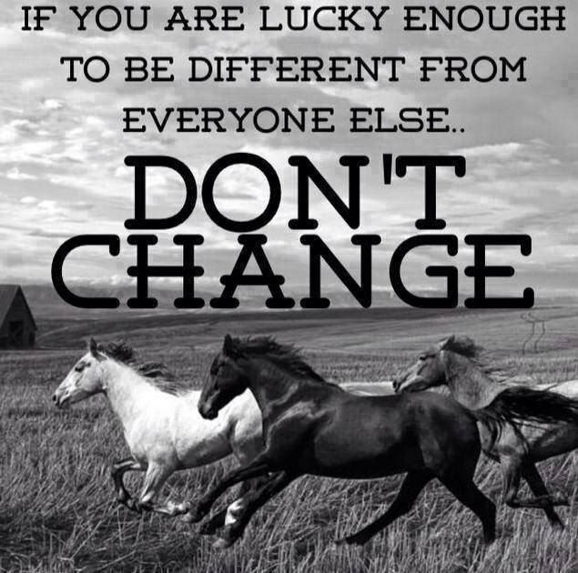FarrukhMerchant's tweet photo. If you Dare https://t.co/BhXiwzqUrP