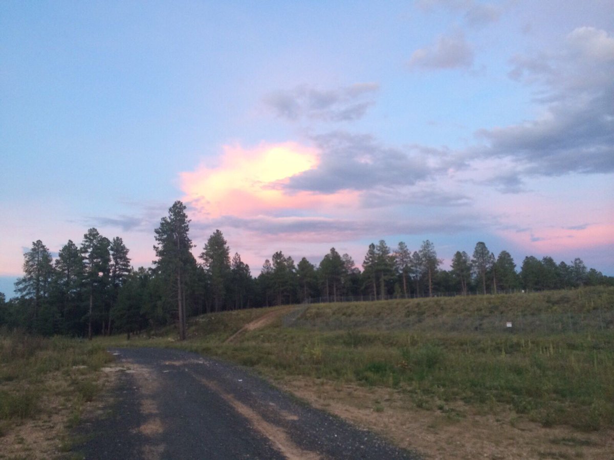 NAU's tweet image. Take the road less traveled 🌄 #AlwaysAdventuring