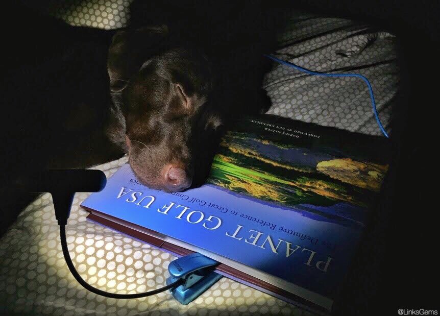 LinksGems's tweet photo. A little late night reading before tomorrow’s round. #graciegolf https://t.co/7zywqFnMWL