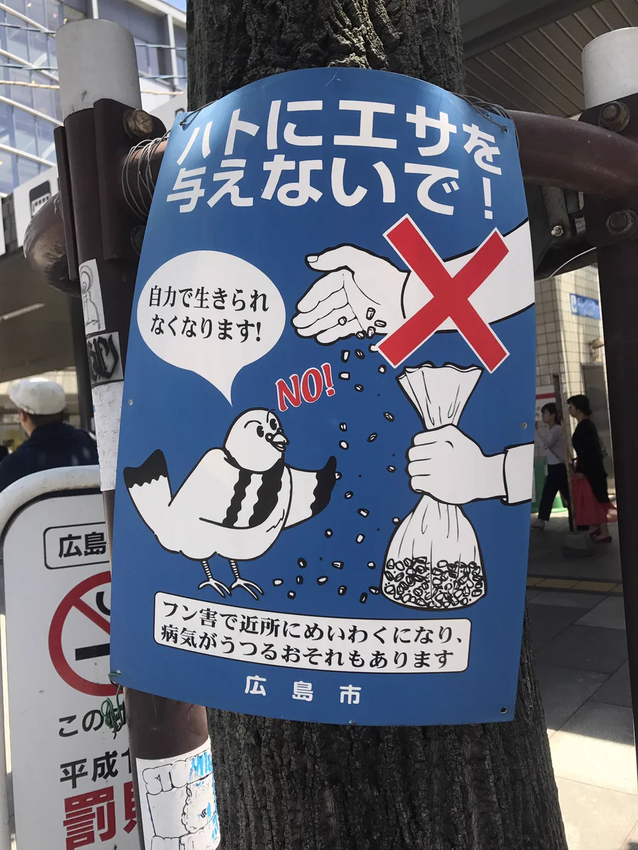 「自力で生きられなくなります」とエサをやる人間に丁重にお断りする、意識高い系のハト
