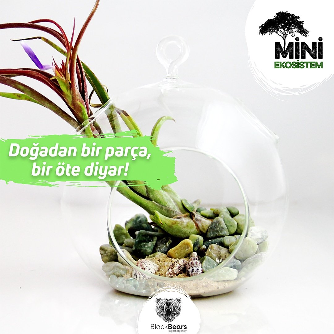 🌳🍄🌵
İnsani yıkımın arasında, doğan yeni yaşam formu: 🌴'Mini Ekosistem'. Yemyeşil silüetlerin arasında, doğaya ait izlerin yeniden hatırlandığı küçük bir yaşam alanı.🌱 Mini bir yaşam alanında kocaman bir doğa.🏞 Doğadan bir parça, bir öte diyar.🌿🌾🍀 @miniekosistem
🍃
🍃