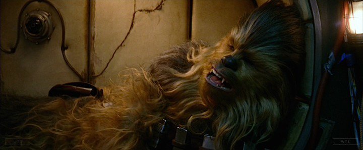 Peter Mayhew is now 74 years old, happy birthday! Do you know this movie? 5 min to answer! 