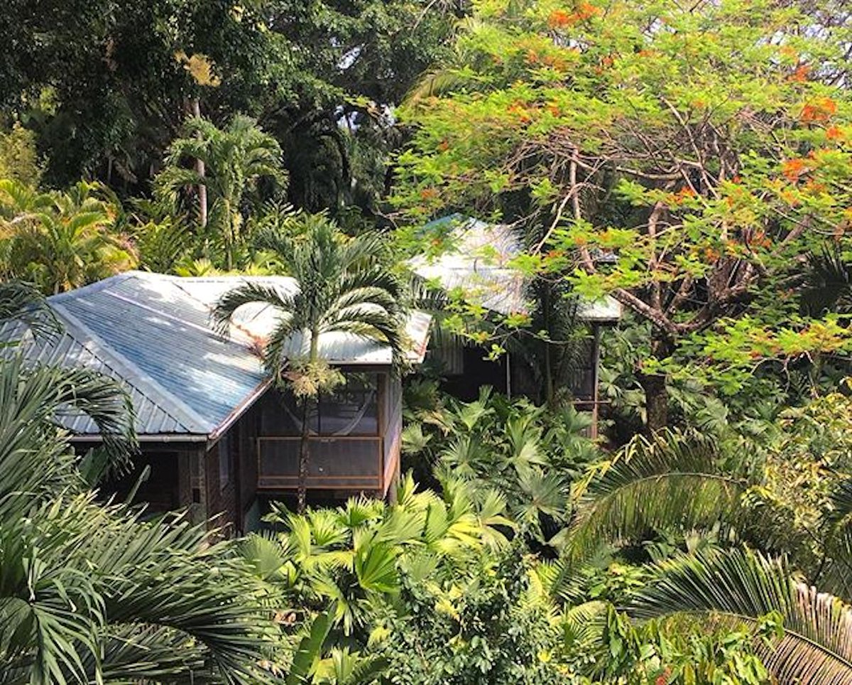 CopalTreeLodge's tweet image. Hidden in the jungles of Belize, you'll find the luxurious vacation destination you've been dreaming of! 
📸: @LouiseUngless 
#jungleresort #luxurytravel #vacationdestination #travelBelize #luxuryresort