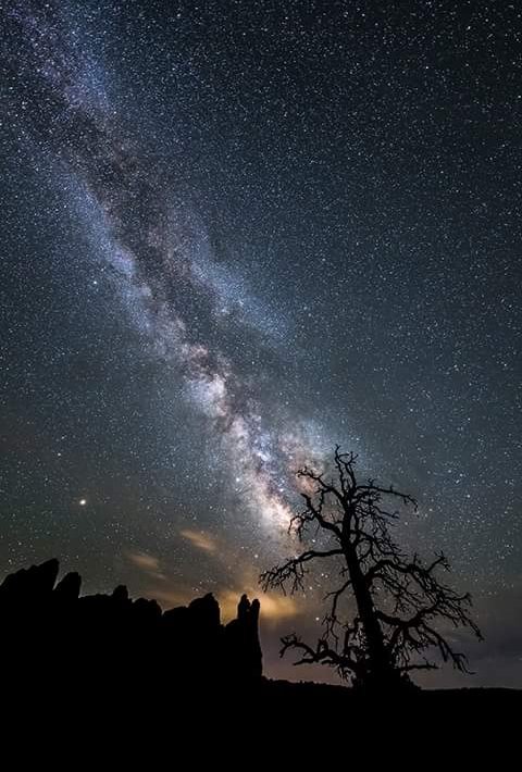 DREAMERSFAMILY2's tweet photo. I close my eyes, then I drift away, into the magic night I softly say. A silent prayer, like dreamers do, then I fall asleep to dream my dreams of you. Roy Orbison
#dreams #dreamers #nightquote #quote #silenthour #skyhour #nightcolors #nightfeelings #freefeelings #feelfree #words https://t.co/tV6F0u2Ups
