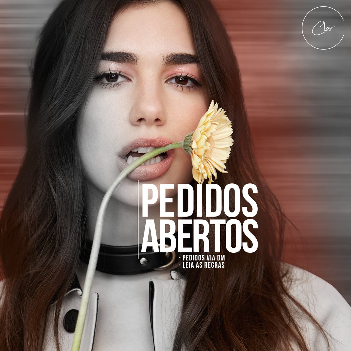 clairdsgn's tweet image. Pedidos abertos!
- Leia com atenção as regras,
- Preencha a ficha com cuidado.