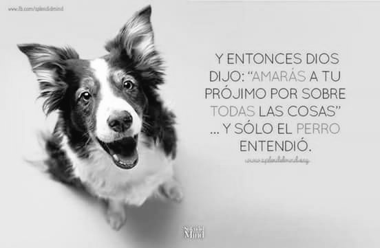 claudialopman's tweet photo. https://t.co/oyTRjJa2Jj