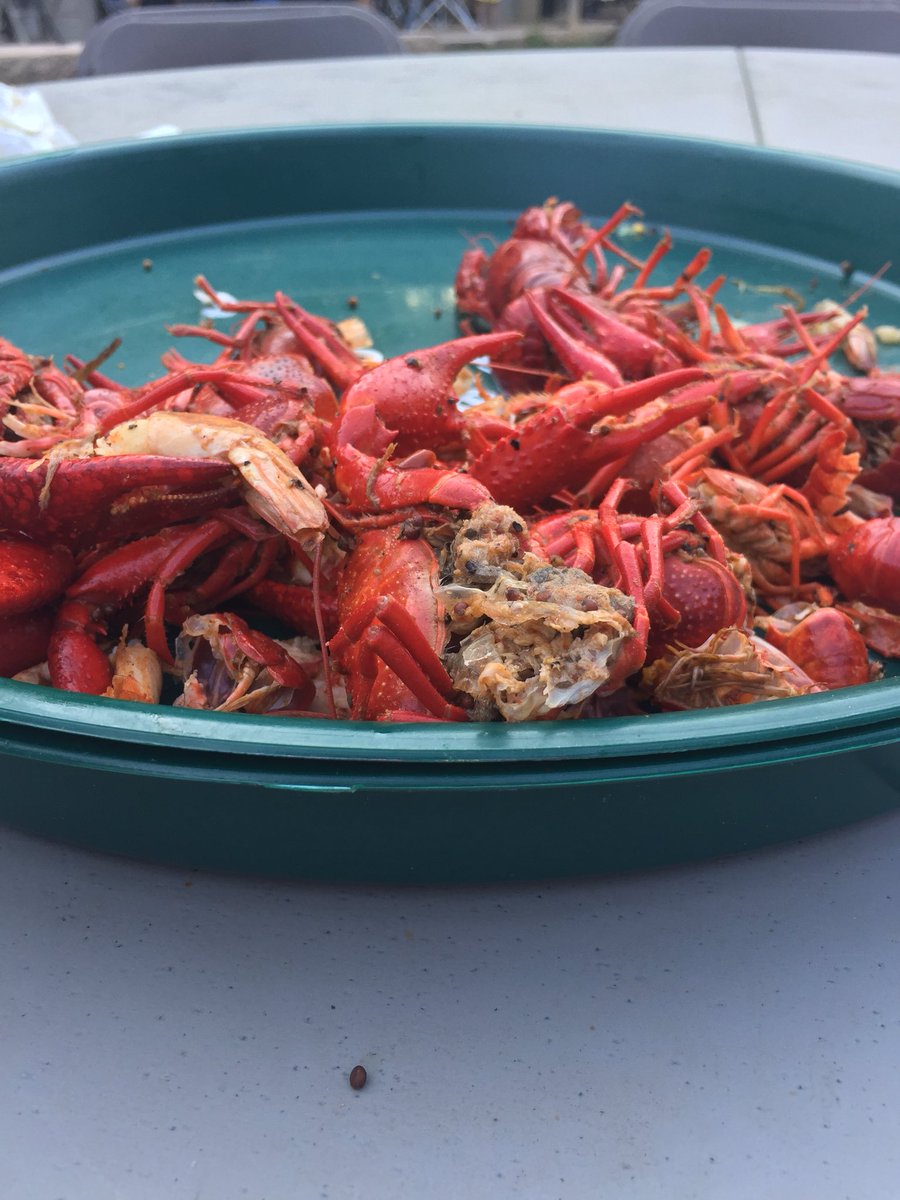 hlbkrunion's tweet photo. Very happy #mudbugs #yum https://t.co/u6Gc6bmedL