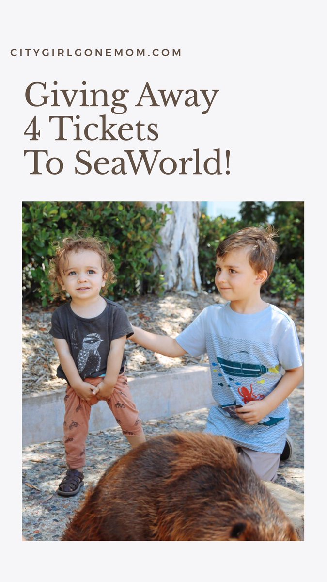 citygirlgonemom's tweet photo. So excited about the @SeaWorld parade and giving away four tickets with @themoms SUPER EASY -tag some mom friends below and subscribe to my blog! Winner announced next Friday!
https://t.co/R5gl8eSRY8
#seaworldmoms #themomsnetwork #seaworld #giveaway #sandiego #travelblogger https://t.co/e9OZRbBS5a