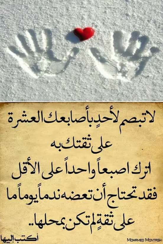 Elsaeed (@elsaeed12905306) on Twitter photo 