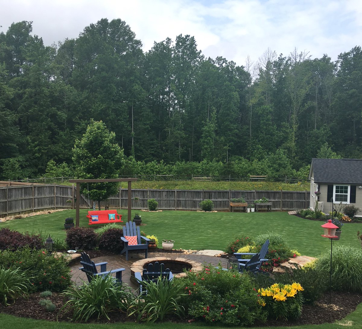 Backyard looking good as a week of rain in Upstate SC!